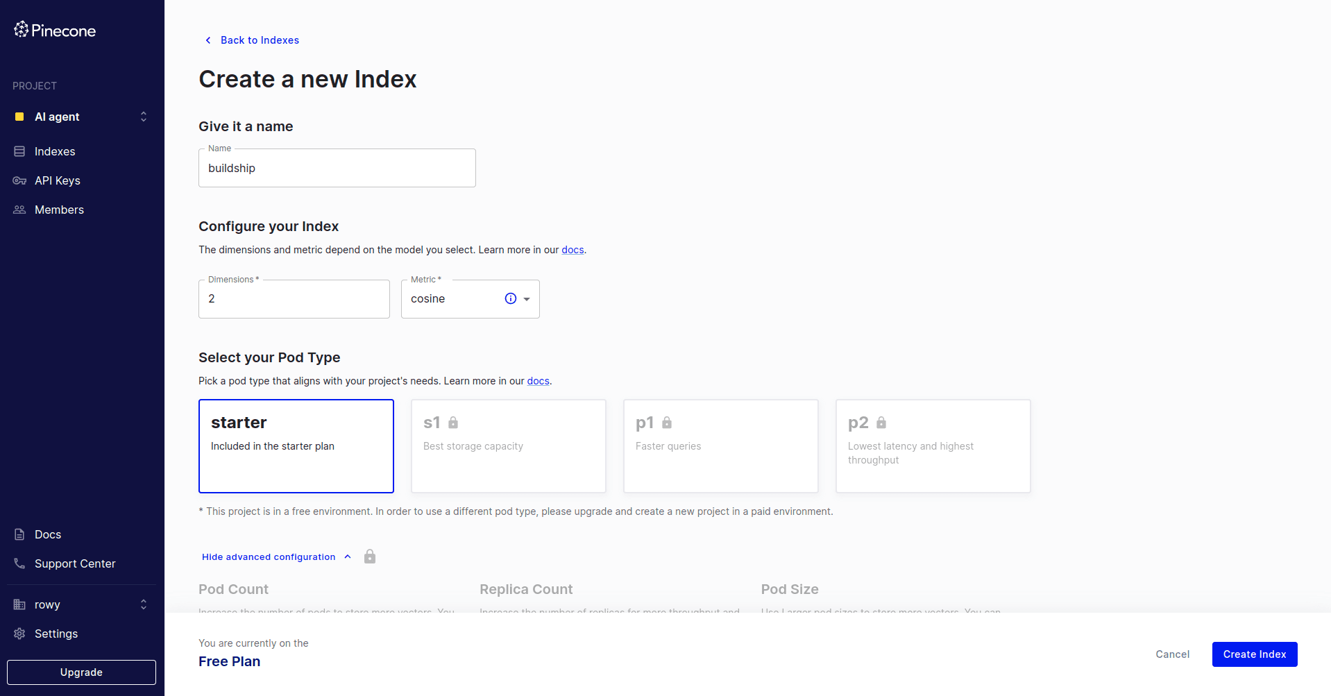 PineCone Index