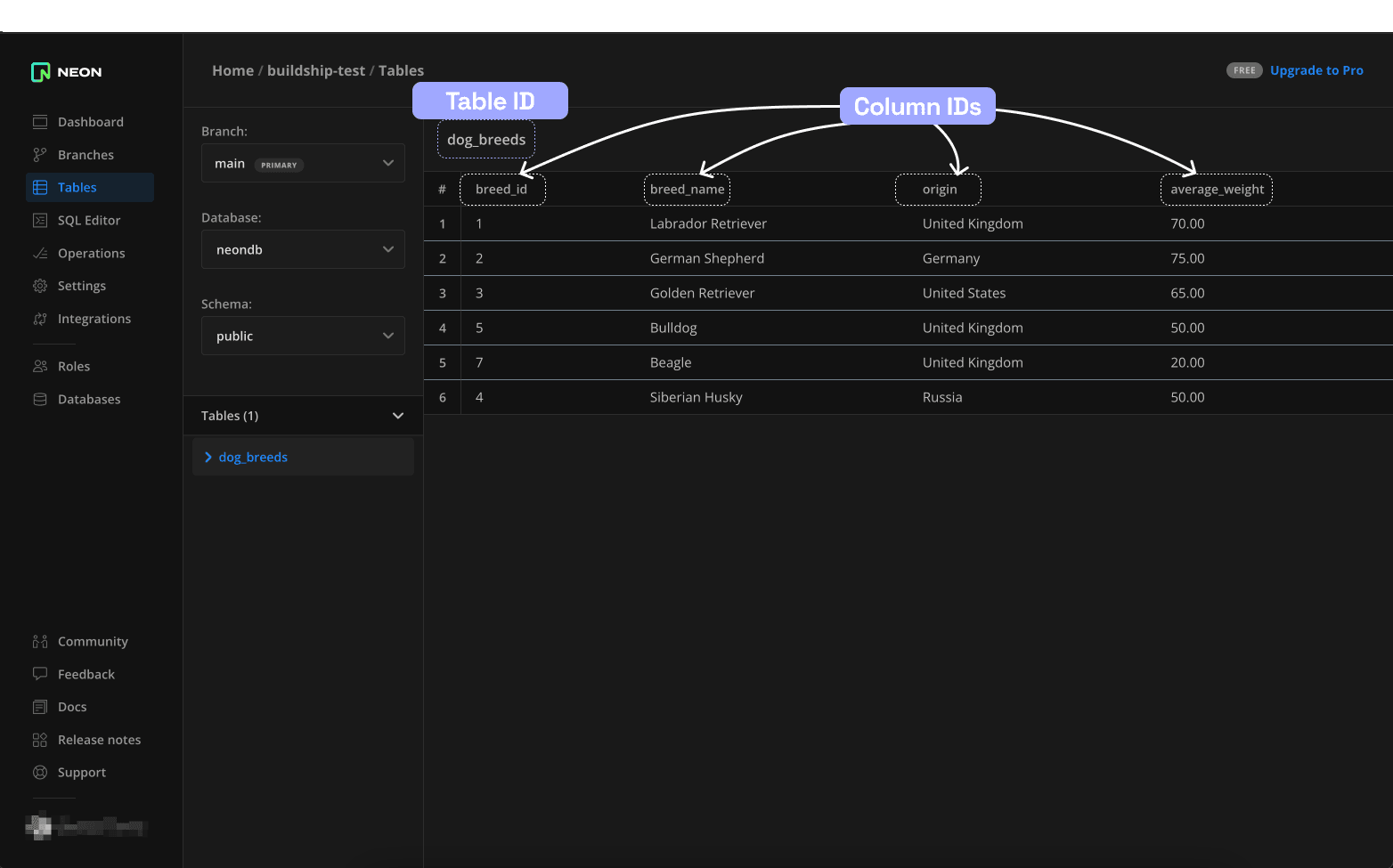 Postgres Integration